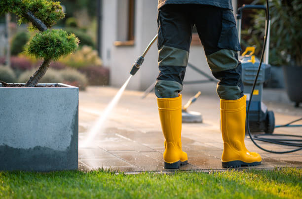 Best Roof Pressure Washing  in Weston Lakes, TX